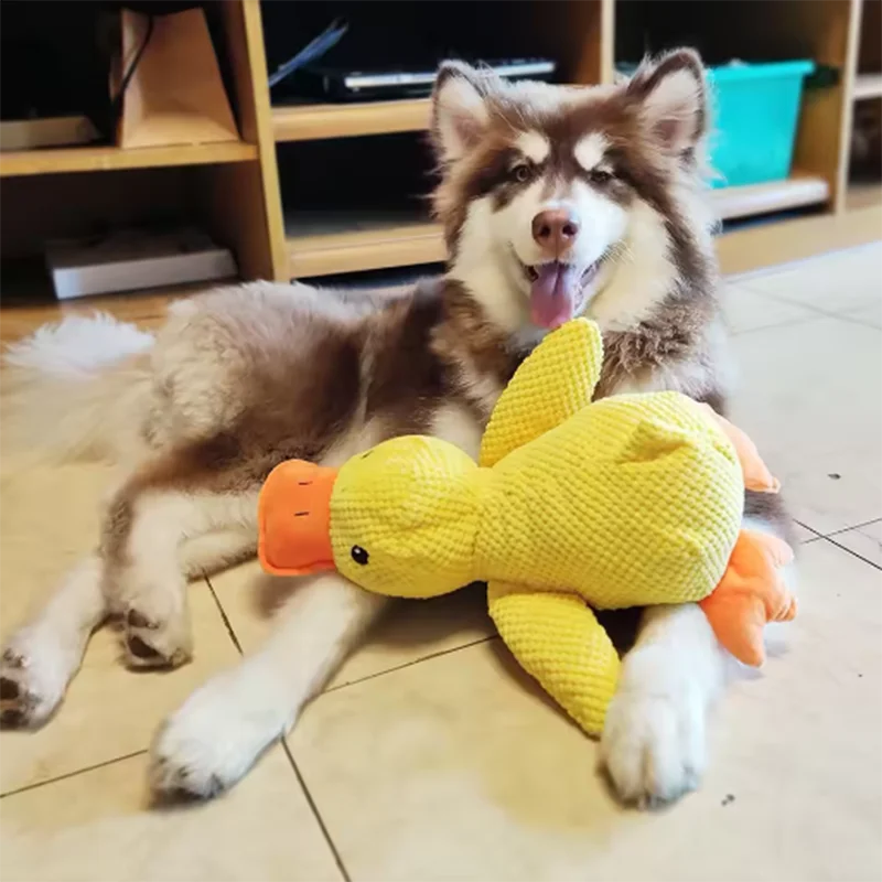 Cuddly Duck Hug Toy