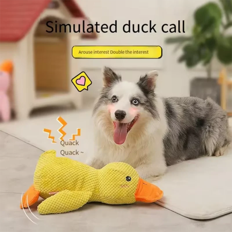 Cuddly Duck Hug Toy